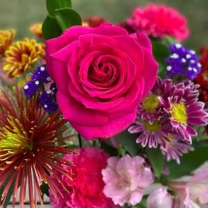 Meet your Posher, Jean